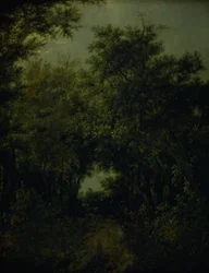 Weg in een eikenbos