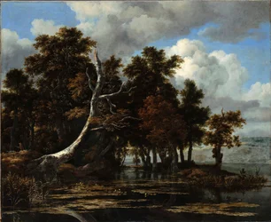 Eiken aan een meer met waterlelies