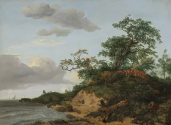 Duinen aan zee