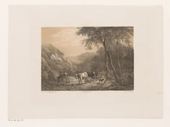 Herder met kudde in de bergen