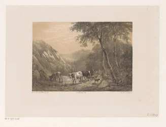 Herder met kudde in de bergen