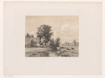 Landschap met boerderij en koe in het water