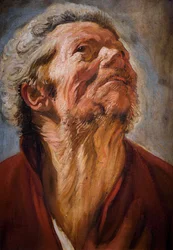 Hoofd van de studie