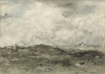Duinlandschap