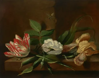 Een papegaaitulp, een roos, een iris en insecten op een houten tafel
