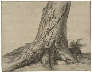 Studie van de stam van een boom met wortels