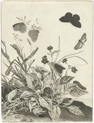 Planten met vlinders en rupsen