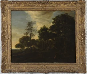 Boslandschap