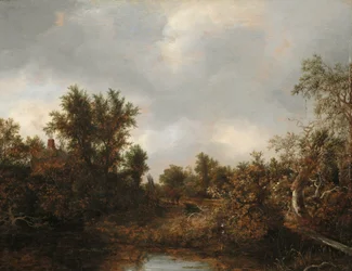 Landschap