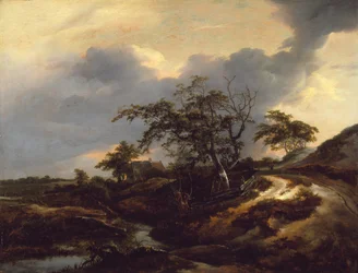 Landschap met duinen