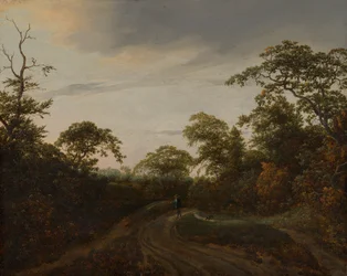 Weg door een bebost landschap in de schemering