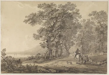 Een weg met hoog geboomte langs een rivier