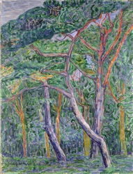 Pijnbomen
