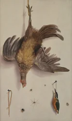 Een kip en een ijsvogel hangend aan een touw