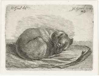 Slapende hond, liggend op een deken