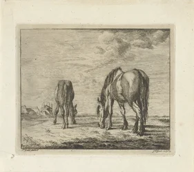 Twee grazende paarden