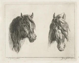 Twee paardenhoofden