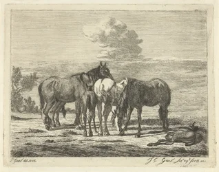 Vier paarden en twee veulens