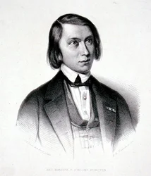 Portret van Josephus Hermanus Verhulst (1816-91)