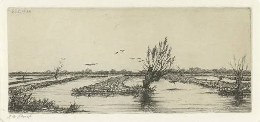 Veenplas