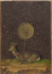 Portret van Alvise Contarini(); (verso) Een vastgebonden Roebuck