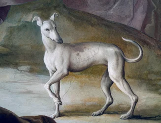 Hond, detail uit fresco door Jacopo Guarana (1720-1808), centrale hal van Villa Contarini, Valnogaredo, Veneto, Italië
