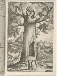 Verschijning van de Maagd in de beuk (Faggio dell