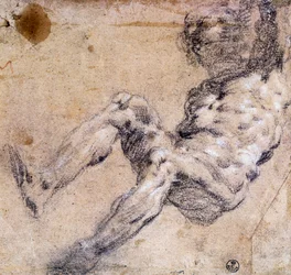 Studie van mannelijk naakt