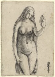 Naakte vrouw met een spiegel Allegorie van Vanitas