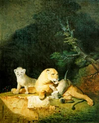 Leeuwin en welpen