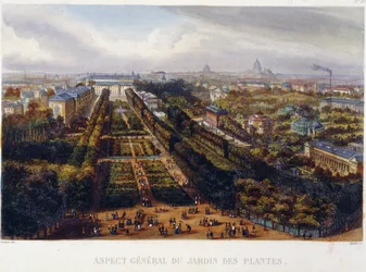 Zicht op de Jardin des Plantes - lithografie door Testard