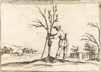 Tuinman die een boom snoeit