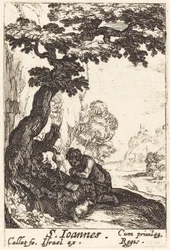 Sint Johannes de Doper