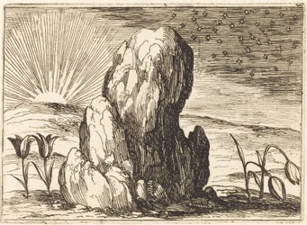 De tulpen en de zon, 1628
