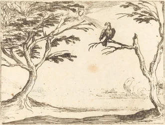 De gier