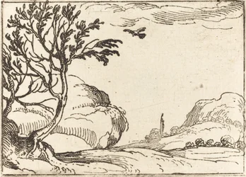 Tortelduif Vliegend in de Woestijn