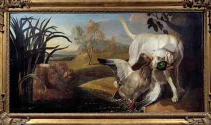 Braque hond met een wilde eend in zijn bek