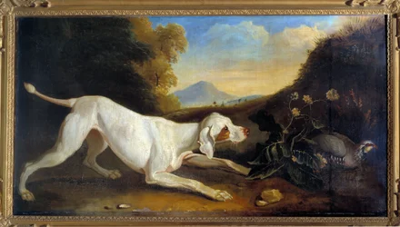 Hond Braque voor een fazant