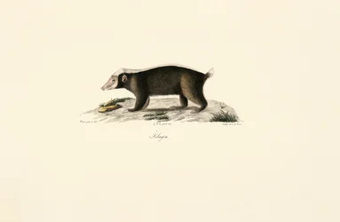 Europese das