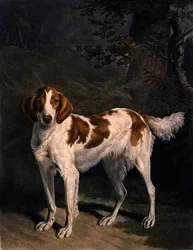 Dash, gegraveerd door Charles Turner, uitgegeven door R. Ackermann Jnr.
