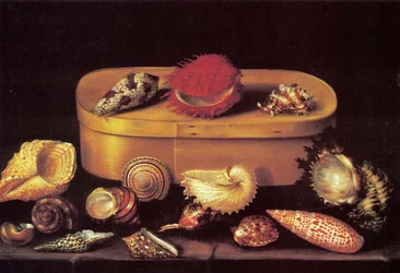 Stilleven met schelpen