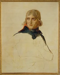 Napoleon Bonaparte ...