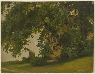 Huis achter bomen