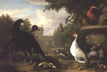 Exotische vogels in een sierlijke tuin