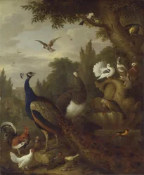 Pauw, pauwhen, papegaaien, kanarie en andere vogels in een park, ca. 1708-10