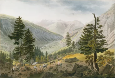 Berglandschap met een karavaan muilezels