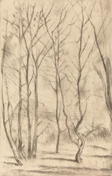 Het Damhout, 1875