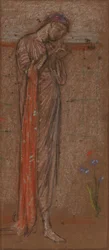 De Paarse Iris, 1871-1872