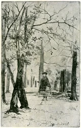 Het bos