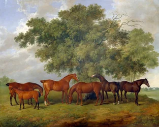 De Theobald Stud